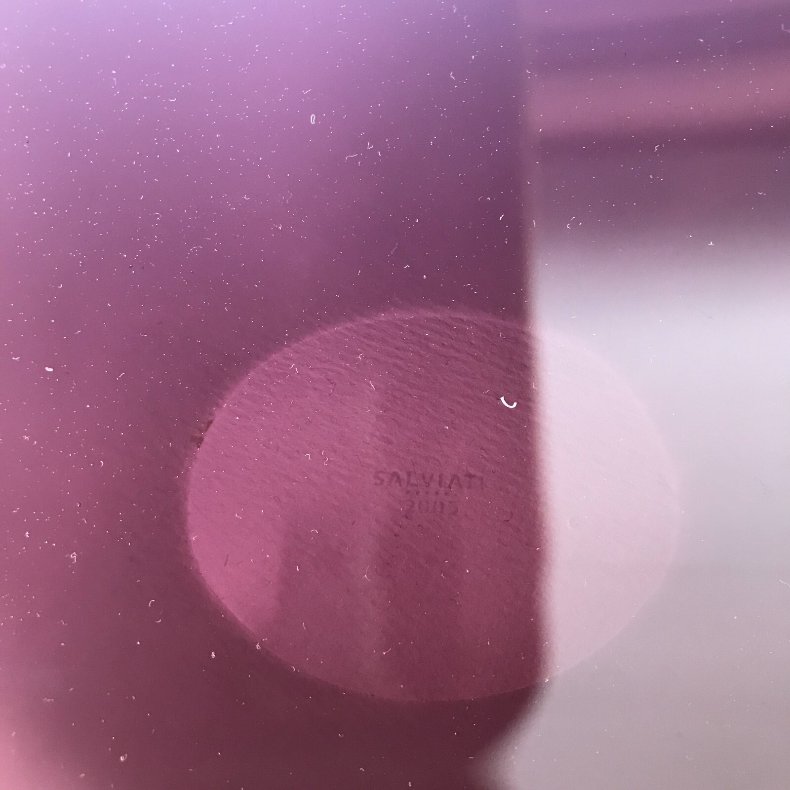 COUPE SALVIATI MURANO vide poche design M. ZITO – Image 7