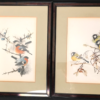 Pair of BIRDS engravings signed in charcoal TITMICE AND REDSTART vintage antique