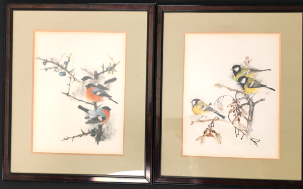 Pair of BIRDS engravings signed in charcoal TITMICE AND REDSTART vintage antique